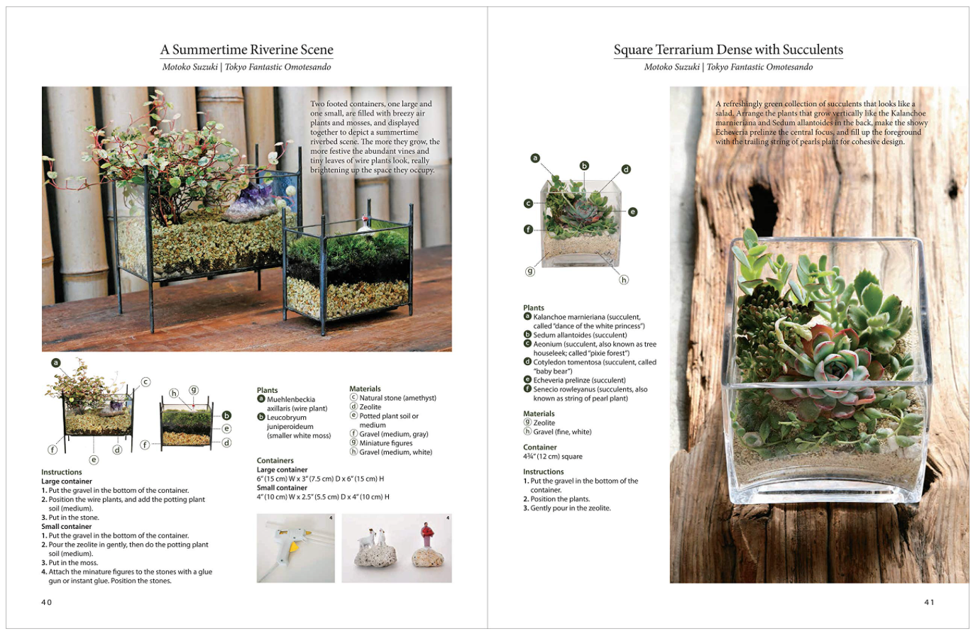 Oddly Enough Books- A Beginner's Guide to Terrarium Gardening by Sueko Katsuji