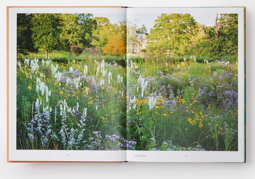 Oddly Enough Books- Wild: The Naturalistic Garden by Noel Kingsbury