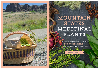 Oddly Enough Books- Mountain States Medicinal Plants by Briana Wiles
