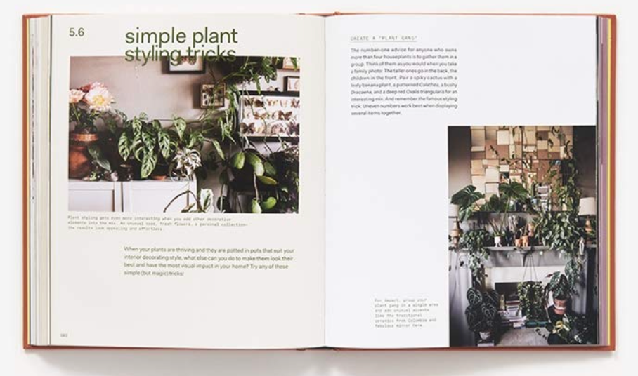Oddly Enough Books- Plant Tribe by Igor Josifovic