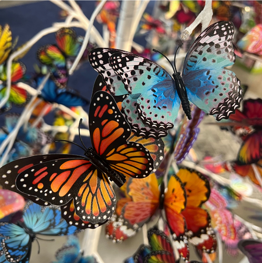 Flutter Gallery Butterfly Magnets