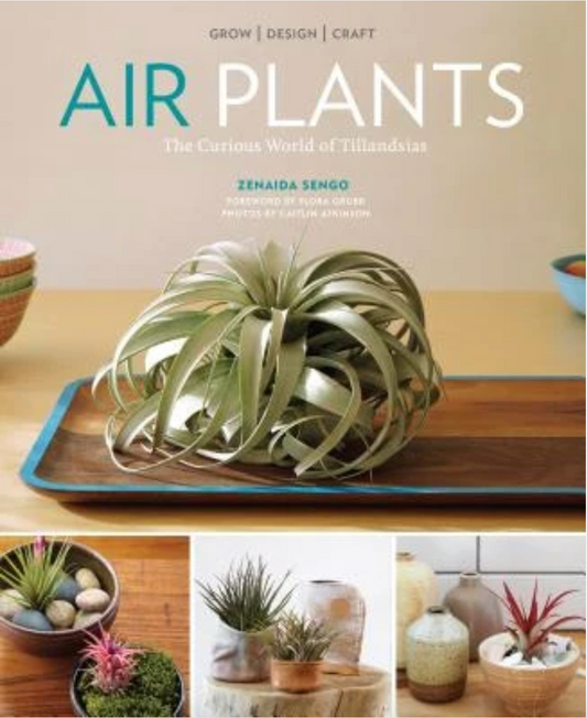 Oddly Enough Books- Air Plants: The Curious World of Tillandsias by Zenaida Sengo