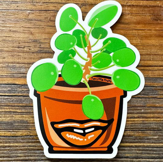 Two Little Fruits- Sticker- Sexy Chinese Money Plant